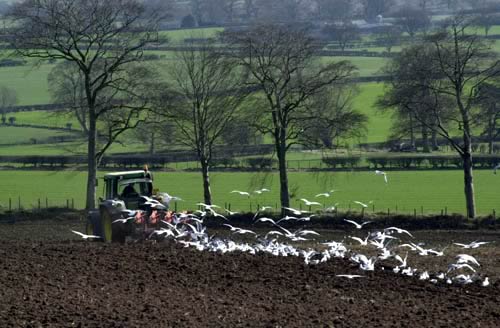 Farm Images